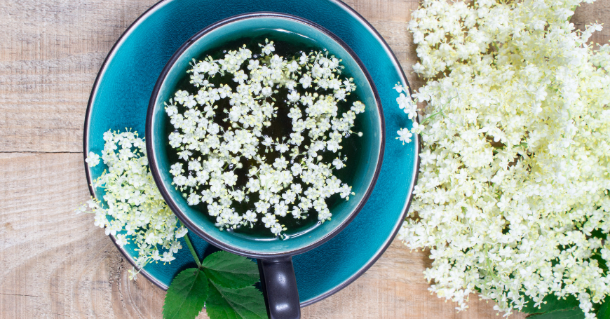 té de flores de saúco